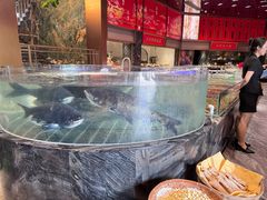 -印象天台·非遗文化美食