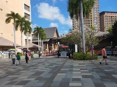 -亚马逊丛林水乐园