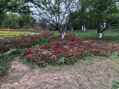 -桤木河湿地公园