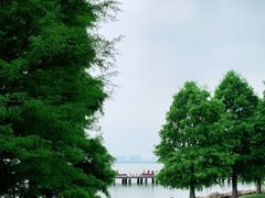 -苏州东太湖生态园