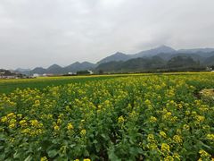 -绩溪龙川景区