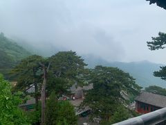 -妙峰山风景名胜区