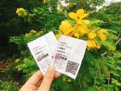 -广东科学中心科技影院