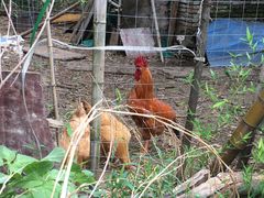 -陶祖圣境风景区