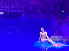 -芜湖新华联大白鲸海洋公园