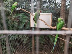 -大连森林动物园