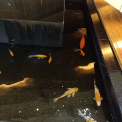 -荟华楼金店(中街店)