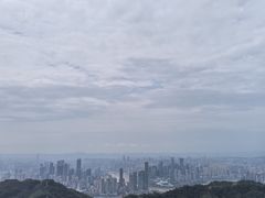 -大金鹰园