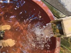 -嘉佑温泉水世界