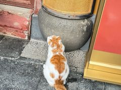 -龙华素斋(龙华路店)