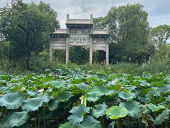 -西溪国家湿地公园