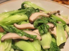 香菇炒油菜-渝信川菜·川味家常菜(新辰里亚运村店)