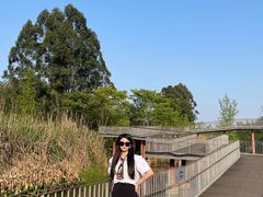 -白鹭湾湿地公园