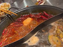 -朱光玉火锅馆(正弘城店)