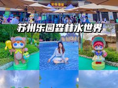 -苏州乐园森林水世界