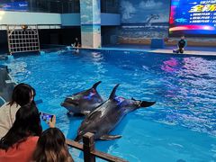 -锦艺城海洋馆