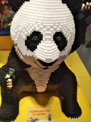 -kidsland(上海环球港店)