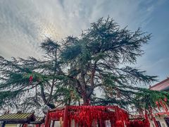 -禅宗三祖寺