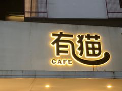 -有猫主题·治愈系猫咖(曾厝垵店)