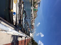 高雄爱河-高雄爱河