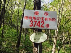 -龙峪湾国家森林公园