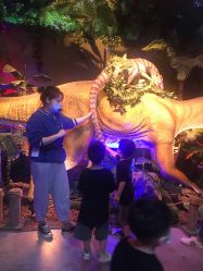 -恐龙探索乐园(磁器口店)