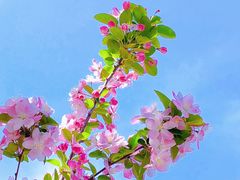 -海棠花溪(元大都城垣遗址公园)