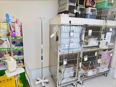-达爱动物医院·犬猫分区·CT·复杂眼科(远洋山水分院)
