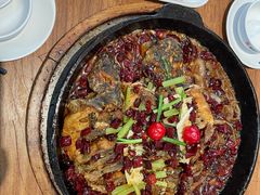 -老板恋上鱼(恒隆广场店)