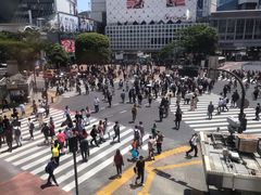 -涩谷全向十字路口