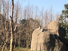 -宁波野生动物园