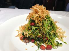 巧拌豆苗-四季民福烤鸭店(王府井灯市口店)