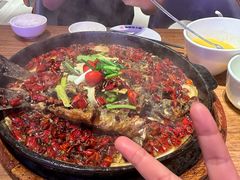 -老板恋上鱼(恒隆广场店)