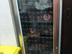 -宠爱国际动物医院·疑难骨科·心肾内科·皮肤科(太阳宫店)