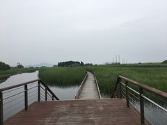 -太湖湖滨国家湿地公园-停车场
