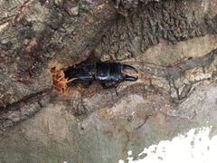 -南通博物苑-崇川人民公园