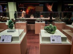 -天津自然博物馆