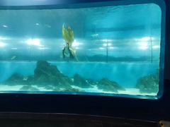 -苏州海洋馆