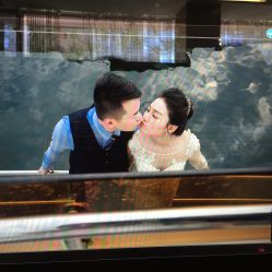 点击看大图 -巴黎春天·菀纱仙庭婚纱美学