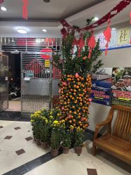 -宝生月子中心(民治店)