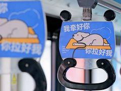 -帕帕拉兹宠物(亚洲旗舰店)