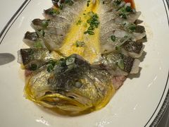 肉汁蒸海钓大黄鱼-炳胜公馆(珠江新城店)