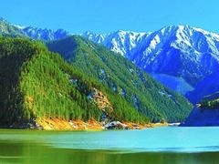 -能量小象·感统·专注力·语言(黄岛校区)