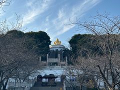 -苏州上方山国家森林公园