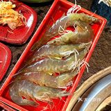 来吃烤肉自助吧‼️好吃到扶墙出的那一种……