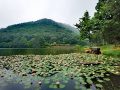 -桃花岭景区