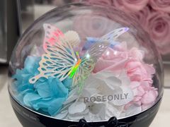 -ROSEONLY诺誓(沈阳万象城店)