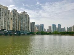 -西北湖绿化广场
