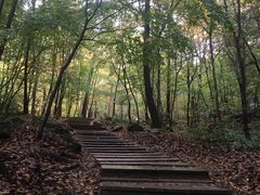 -北纬44度·金珠花海休闲农业旅游景区