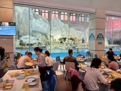 -帝企鹅自助餐厅•儿童岛•真企鹅(长隆企鹅酒店)